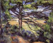 Paul Cezanne pine USA oil painting artist